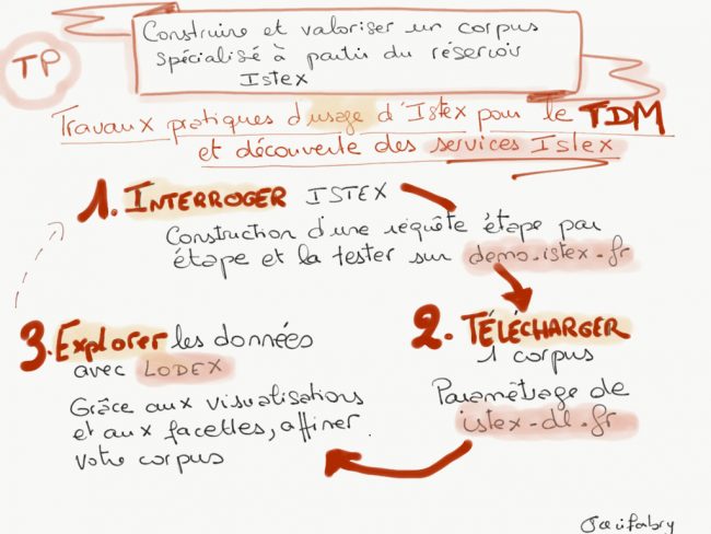 usages Istex TDM